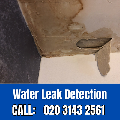 Expert Water Leak Detection Services in London | London Leak Detection